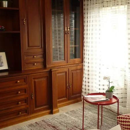 Atico Auditorio Disfrute Sus 40 Metros De Terraza Orientada Al Sur * オビエド