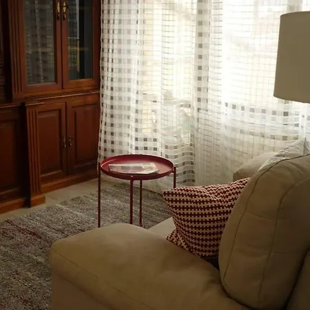 Atico Auditorio Disfrute Sus 40 Metros De Terraza Orientada Al Sur Apartment *