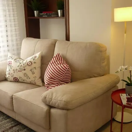 Atico Auditorio Disfrute Sus 40 Metros De Terraza Orientada Al Sur アパート オビエド