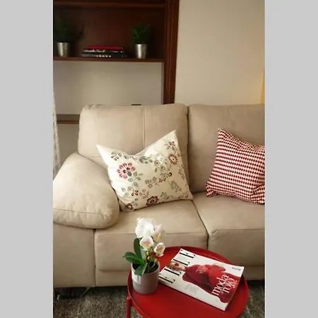 Atico Auditorio Disfrute Sus 40 Metros De Terraza Orientada Al Sur Oviédo