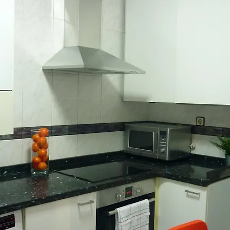 Atico Auditorio Disfrute Sus 40 Metros De Terraza Orientada Al Sur Apartment