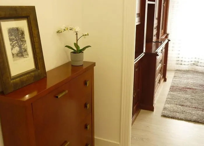 Atico Auditorio Disfrute Sus 40 Metros De Terraza Orientada Al Sur