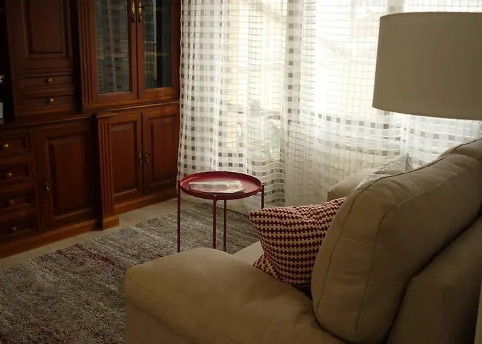 Atico Auditorio Disfrute Sus 40 Metros De Terraza Orientada Al Sur アパート *