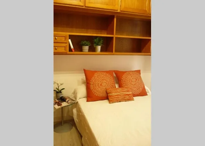 Atico Auditorio Disfrute Sus 40 Metros De Terraza Orientada Al Sur *