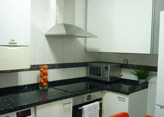 Atico Auditorio Disfrute Sus 40 Metros De Terraza Orientada Al Sur アパート